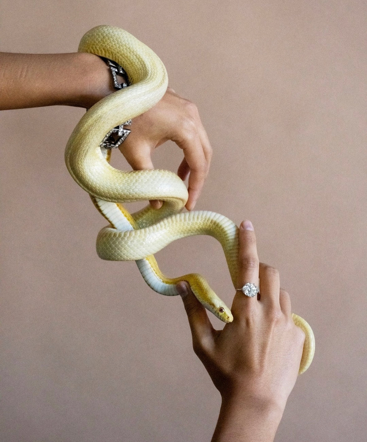 A model wearing the bracelet with a snake wrapped around her hands. Important 19th century old mine cut diamond bracelet. Over 150 elongated old mine cut diamonds are set in a silver topped gold setting. The contemporary feel of this bracelet along with its fine materials and craftsmanship dating to the 1850’s combine to make this bracelet so special. English in origin.