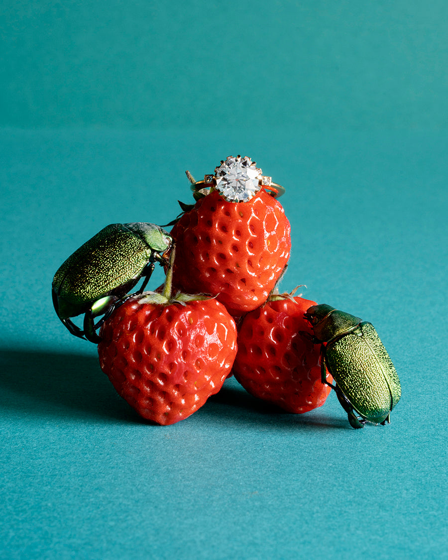 Still life photo of a diamond ring on top of the strawberries with beattles 