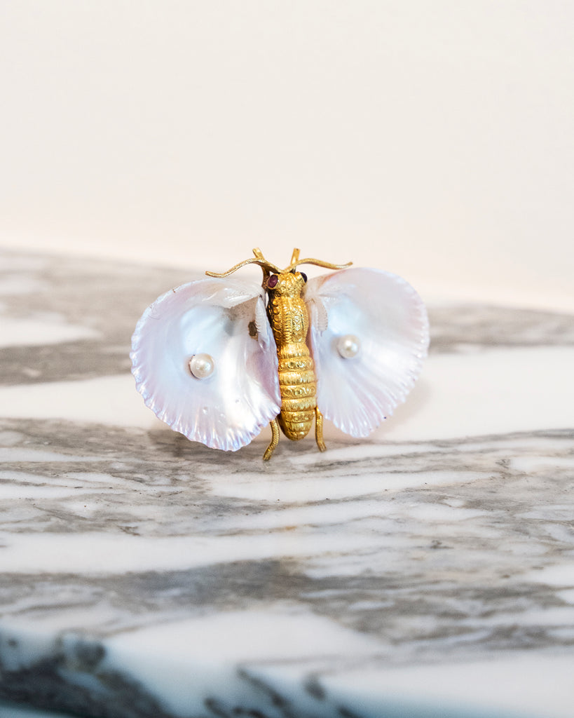 19th Century Butterfly Shell Brooch