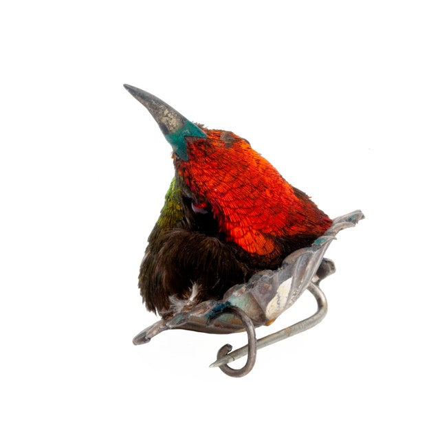 Rare Victorian Taxidermy Hummingbird Brooch