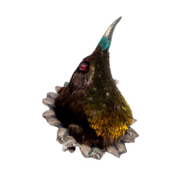 Rare Victorian Taxidermy Hummingbird Brooch